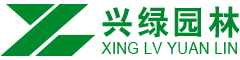 瀘州網(wǎng)站建設(shè)